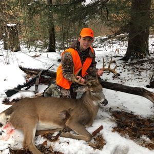 Meet your Posher, Harley